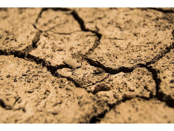 Soil