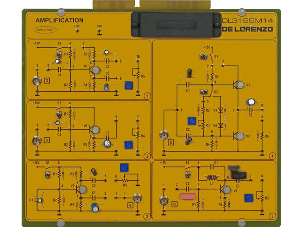 Amplification